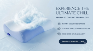 Derila Ergo Pillow™