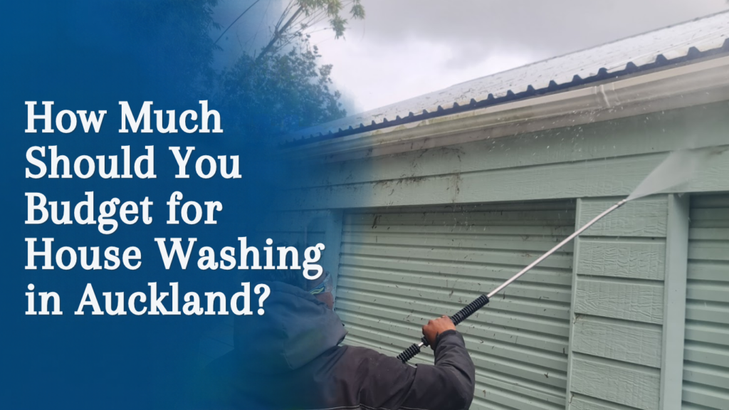 House Washing in Auckland