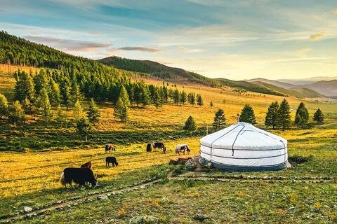 Mongolei Tourismus