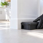 pest proofing mistakes
