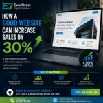 custom web development services