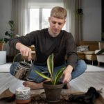 Self-Watering Planter Problems and What to Do About Them