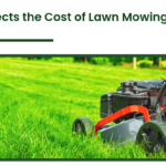Lawn Mowing in Drury