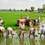 how do medium and large farmers obtain capital for farming