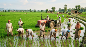 how do medium and large farmers obtain capital for farming
