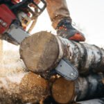 Closeup view on chainsaw in strong lumberjack worker hands. Sawdust fly apart
