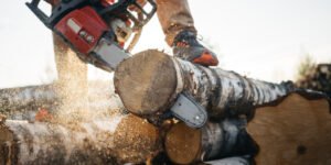 Closeup view on chainsaw in strong lumberjack worker hands. Sawdust fly apart
