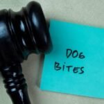 dog bite lawyer