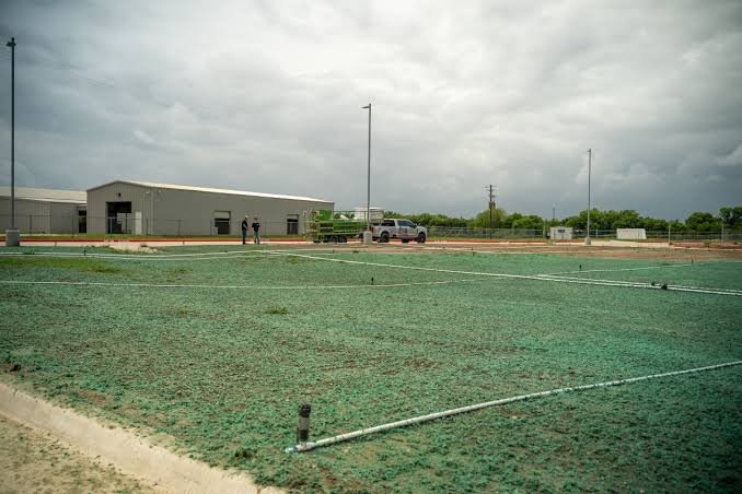 Hydroseeding Services in North Texas